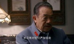 英雄祭全集在线观看,史诗般的英雄传奇，在线观看尽享视觉盛宴